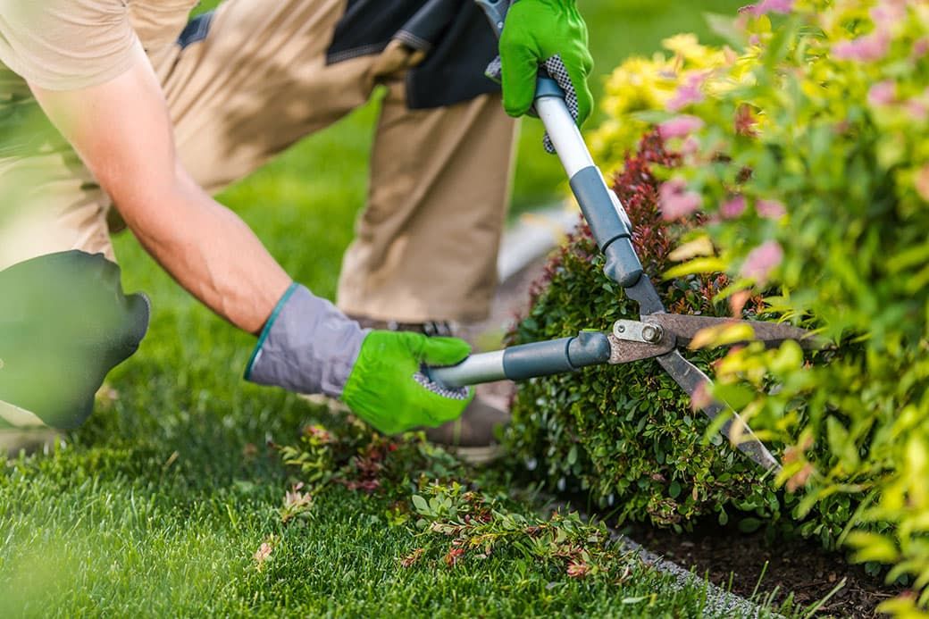 Grünflächenbetreuung Wien – professionelle Gartenpflege
